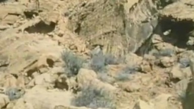 Stefanie Powers Butt Scene in Little Moon And Jud Mcgraw