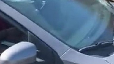 Girl Flashes Trucker on Highway