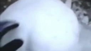 Dude fucks a snowman