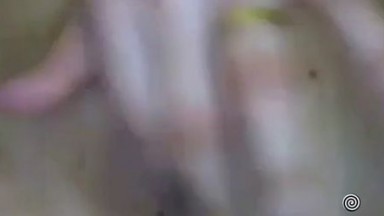 hot arab asmaa masturbation videos