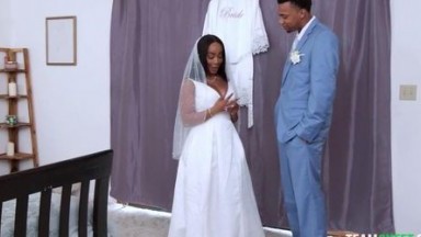 Breeding Lily Starfire